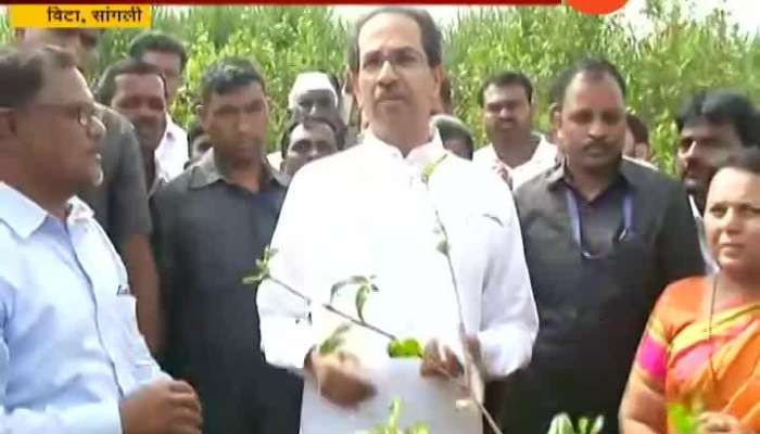  Sangli Veta Uddhav Thackeray Visited Pomegranate Farm Destroyed By Returning Monsoon