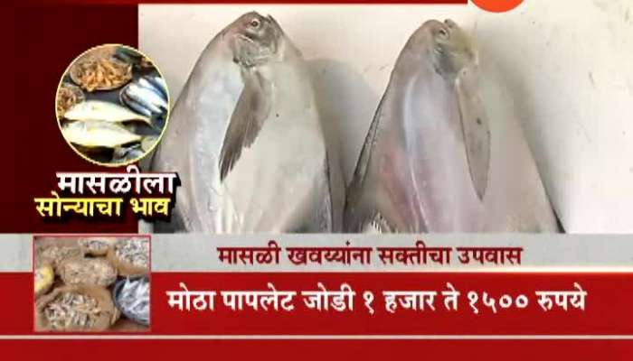 Thane Market Fish Getting Expensive