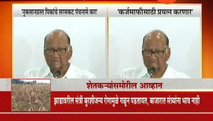  Nagpur NCP Sharad Pawar On Farmer Loan Waiver And Help To Farmers