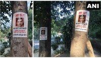 'गौतम गंभीर हरवला'; दिल्लीत पोस्टरबाजी 