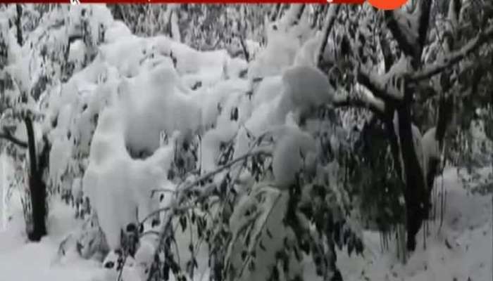 Himachal Pradesh All Road Closed From Heavy Snow Fall