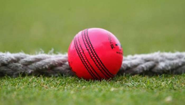 IND vs BAN : डे-नाइट टेस्टच्या Pink Ball चं वेगळेपण 