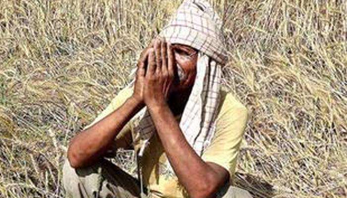 किमान समान कार्यक्रम निवेदनात 'कर्जमाफी' हा शब्दच नाही