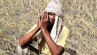 किमान समान कार्यक्रम निवेदनात 'कर्जमाफी' हा शब्दच नाही