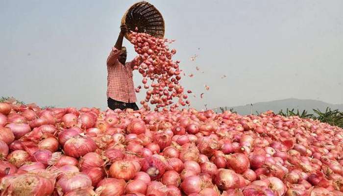 नाशिक - उमराणे बाजार समितीत कांद्याच्या भावाचा विक्रम