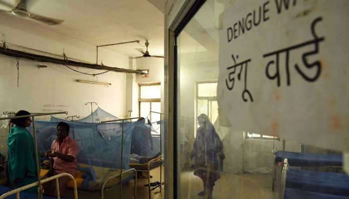 नाशिक शहरात डेंग्युसह साथीच्या आजारांचं थैमान