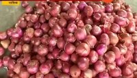नाशिक : कांद्याचा दर्जा कसा ओळखाल? जाणून घ्या... 
