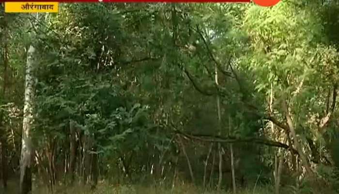Shivsena not oppose to tree cutting in aurangabad for balasaheb thackeray statue