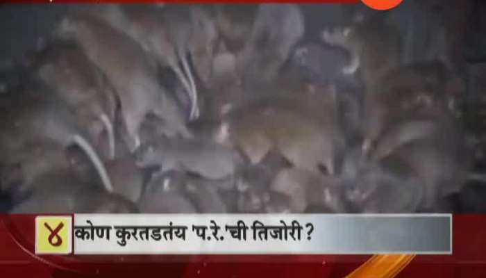  Railway Paying Heavy Amount To get Rid Of Rats