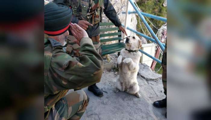 सैन्यदल अधिकाऱ्यांना सलामी देणाऱ्या श्वानाच्या फोटोमागचं सत्य माहितीये?  