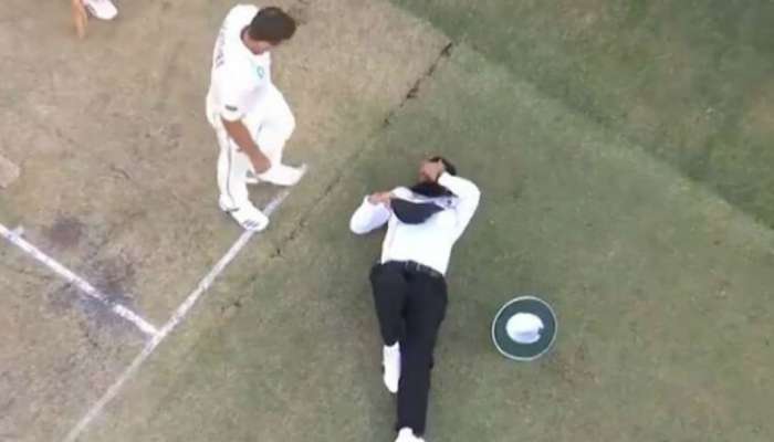 बॉल लागल्याने मैदानातच पडला अंपायर, ऑस्ट्रेलिया-न्यूझीलंड टेस्टमधली घटना