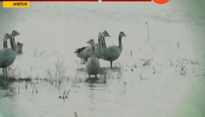 AKOLA OVERSEAS GUESTS ON LAKE KAPSHI