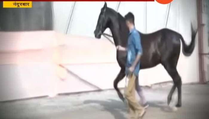Nandurbar Horse Fashion Show