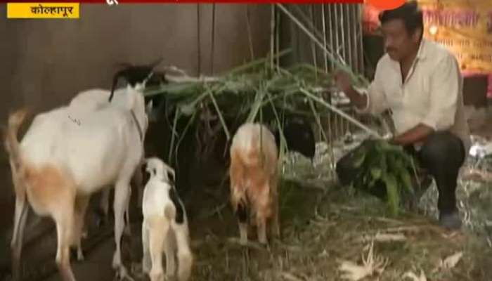 Kolhapur Goat Robbery