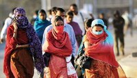 राज्यात थंडीचा कडाका; नागपूरमध्ये पारा ५.३ अंशांवर 
