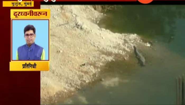 Mumbai,Mulund Crocodile Found