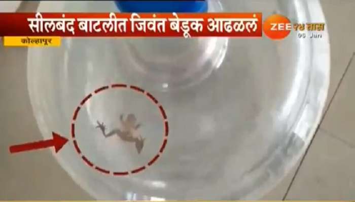 शिवाजी विद्यापीठात पिण्याच्या पाण्यात बेडूक, विद्यार्थी संतापले 