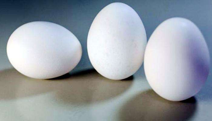प्लास्टिक अंड्याच्या अफवांमुळे ग्राहकांमध्ये संभ्रम
