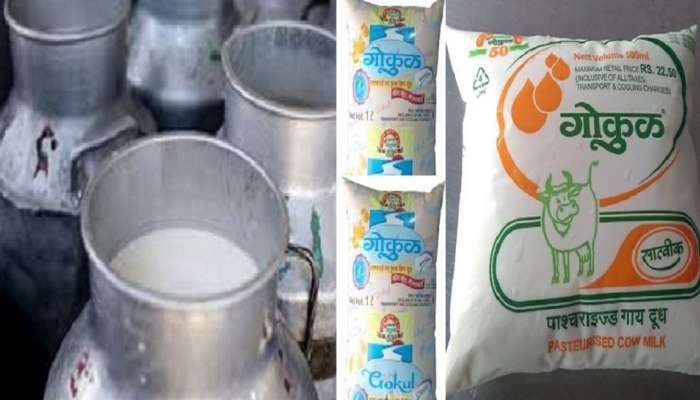 दूध उत्पादक शेतकऱ्यांसाठी गुडन्यूज, गोकुळ दूध दरात वाढ