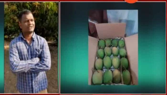 Ratnagiri Mango Farm Owner Send First Box Of Hapus Mango To Vashi Market