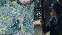 सचिन म्हणतो, ताडोबा अभयारण्यात 'मी पुन्हा येईन'... 