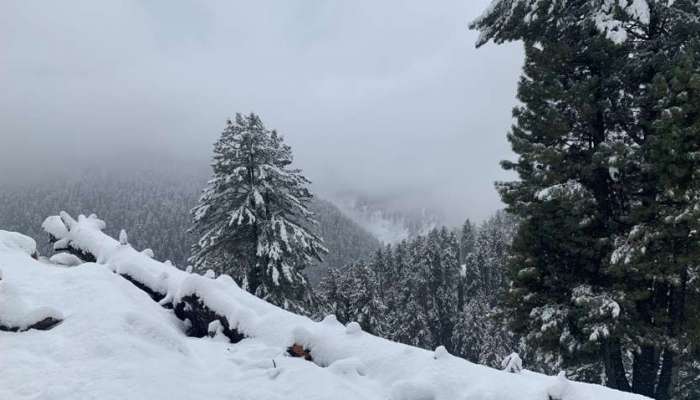 थंडीचा कडाका वाढणार; 'या' ठिकाणी पावसाची शक्यता 