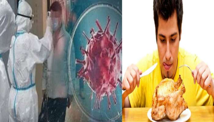 कोरोनाच्या भीतीने चिकन खाणं बंद; खोट्या व्हायरल मेसेजची दहशत