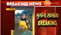 बागेत खेळणाऱ्या २ वर्षाच्या मुलाचा सर्पदंशाने मृत्यू