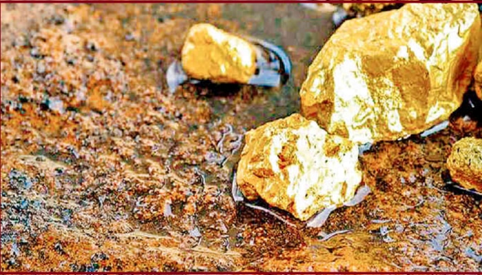 देशात सापडली सोन्याची खान, ३ हजार टन सोनं असण्याची शक्यता