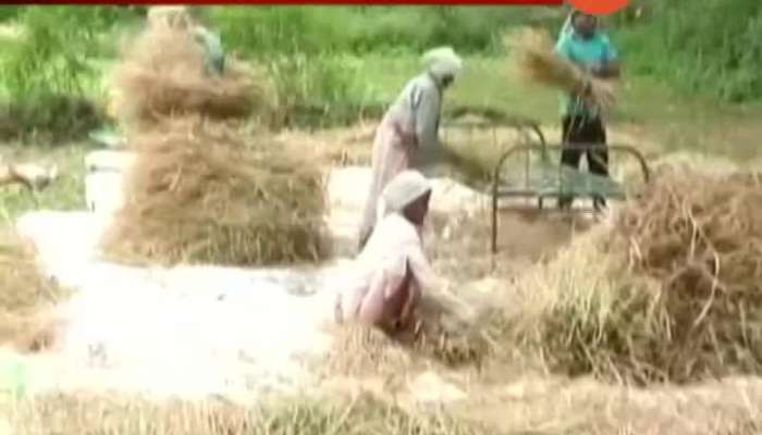 Maharashtra Only 20K Farmers Getting Loan Waiveoff In First Phase