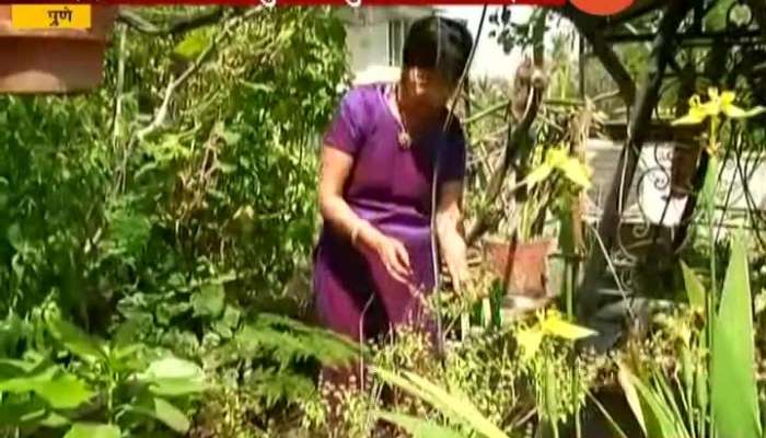 Pune Organic Rooftop Farming Success