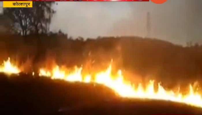 Kolhapur Fire In Jungle