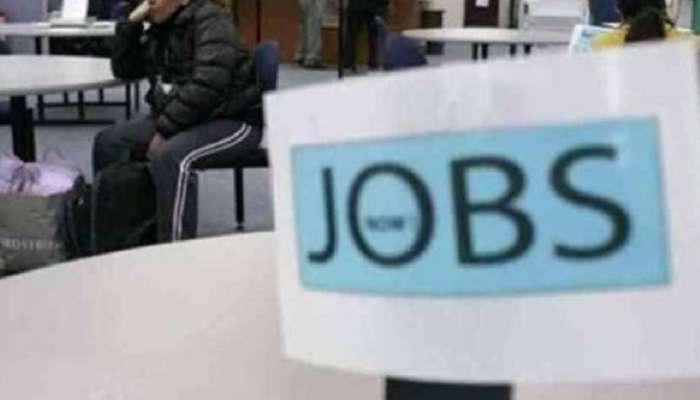 Government jobs: राज्यात सरकारी नोकरीची संधी; अर्ज करण्यासाठी ही शेवटची तारीख