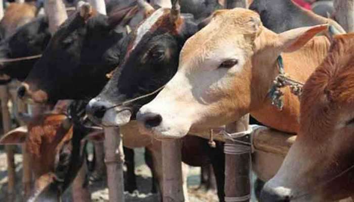 महाविकासआघाडी फडणवीस सरकारची आणखी एक योजना गुंडाळणार