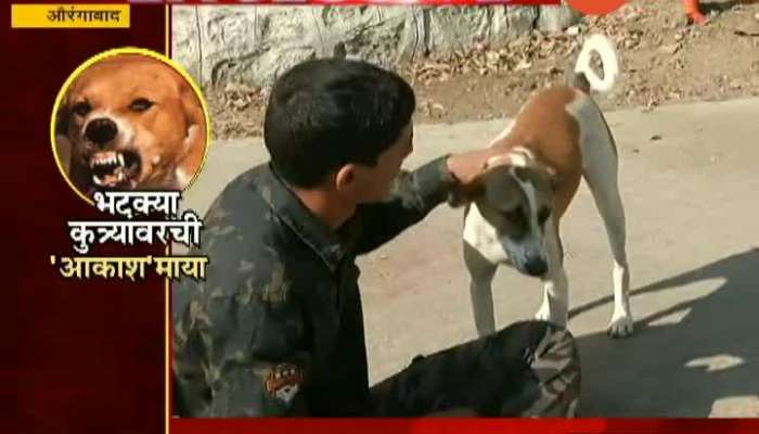 Aurangabad Akash Joshi Help Street Dogs