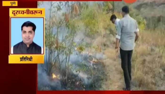 Pune Actor Sayaji Shinde Stopped Bushfire From Spreading