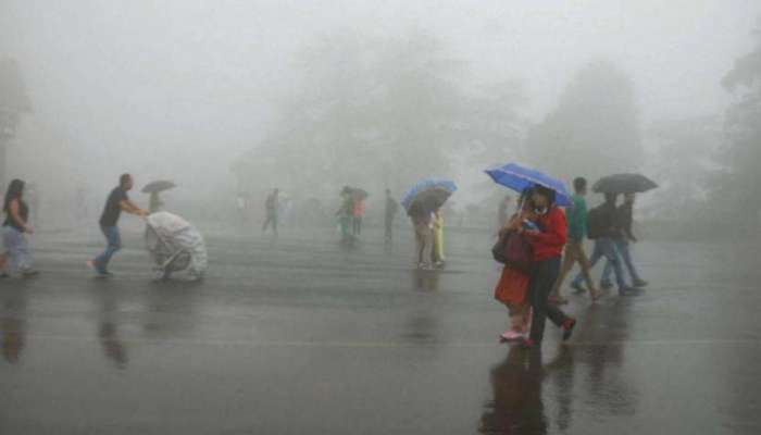 पश्चिम महाराष्ट्र, रायगड जिल्ह्यात काही ठिकाणी मुसळधार पाऊस