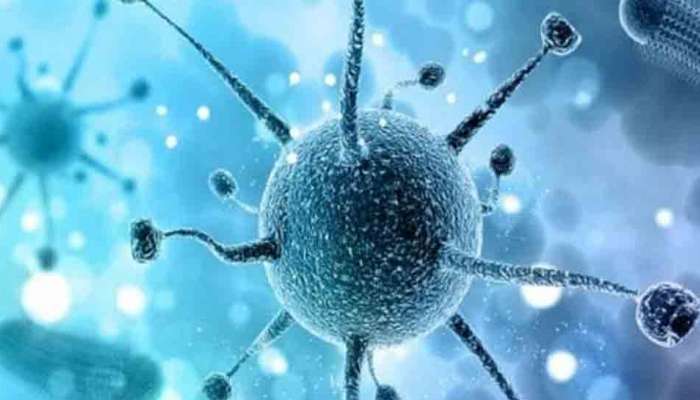 ‘या’ महिलेमुळे जगभरात पसरला कोरोना व्हायरस
