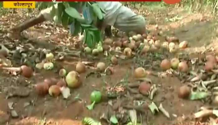 Farmers facing problems due to lockdown