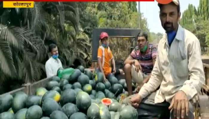 Kolhapur Farmers In Probelm As They Have To Sell Crop In Loss For No Demand