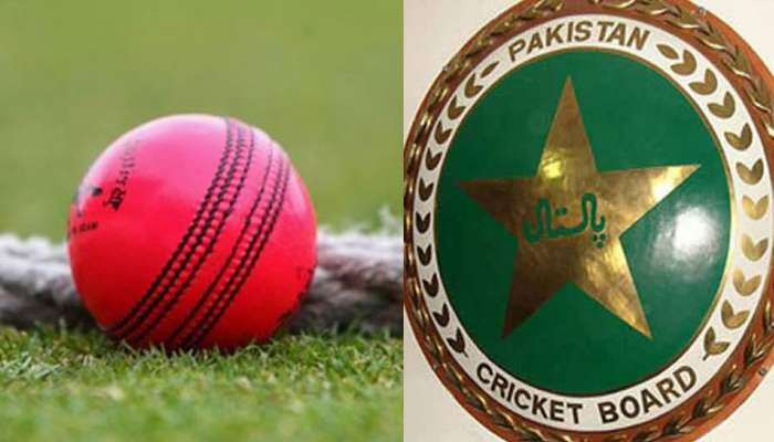 Corona : कोरोना व्हायरसमुळे पाकिस्तानी क्रिकेटपटूचं निधन