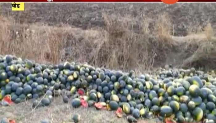  Beed Farmers Have To Throw Away Crops For No Demand In Lockdown