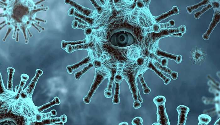 Coronavirus : आणखी एका कलाकाराचा कोविड-१९ मुळे मृत्यू 