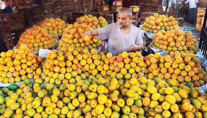  फळांचा राजा पोस्ट खात्याच्या मदतीने मुंबईत दाखल, कोकणातून तीन टन माल रवाना