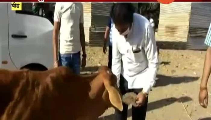 Beed Man In Campaign Ek Ghass Tumcha For Animals Problem In Lockdown