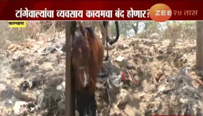 कल्याणातील टांग्याची घोडदौड तब्बल १५० वर्षांनंतर थांबली