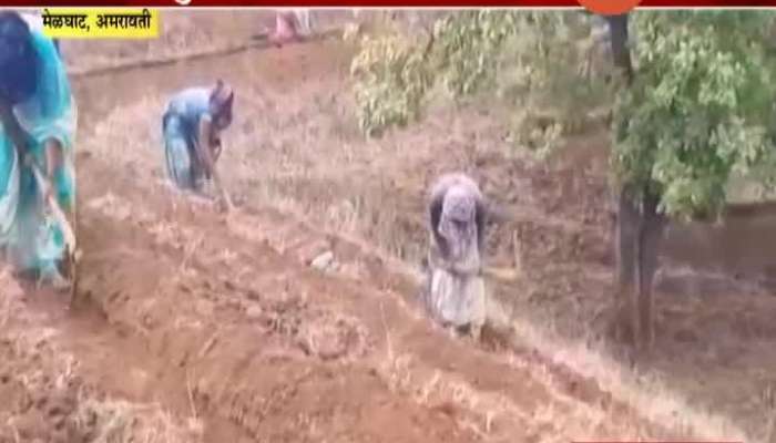 Amavati,Melghat Adivasi People Get Work Foe Maneraga