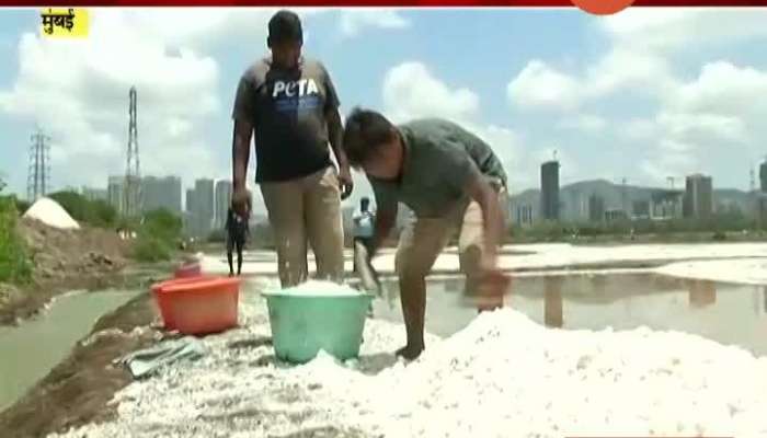 Mumbai Lock Down Affect On Salt Farm