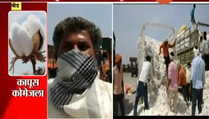 Beed Farmers In Problem From Cotton Not Getting Sold