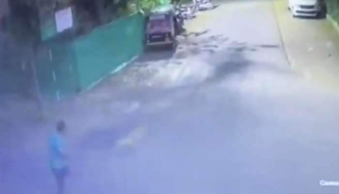 VIDEO: नाशिकमध्ये बिबट्याचा माणसांवर हल्ला, थरार सीसीटीव्हीत कैद
